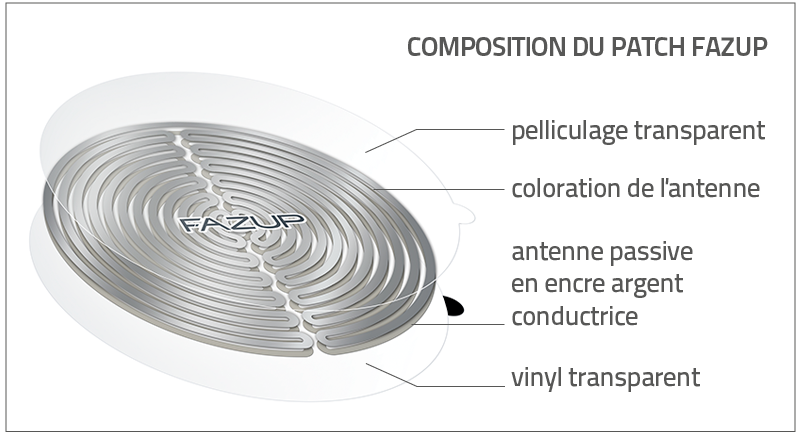 Composition Fazup